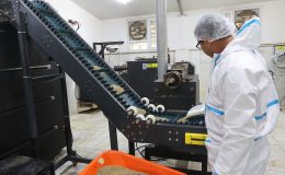 Can Dostlara Muğla Büyükşehir’den 42 Ton Mama Üretimi