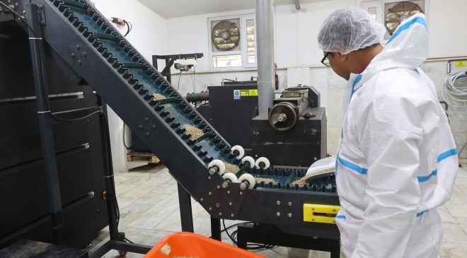 Can Dostlara Muğla Büyükşehir’den 42 Ton Mama Üretimi