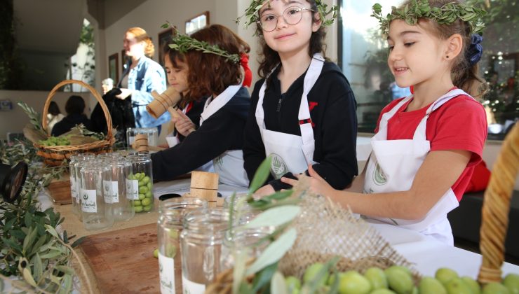 Ted bodrum koleji’nde 9. Uluslararası zeytin festivali