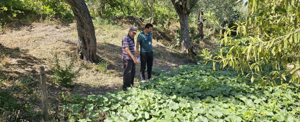 21 11 2025 belediyeden ureticiye teknik destek ve ozel bakim rehberi 1 e1763724232628