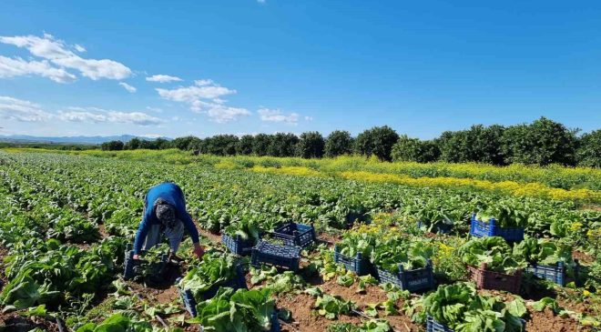 ÖNEŞ DERİCİ’DEN MUĞLA İÇİN ARALIKSIZ MESAİ