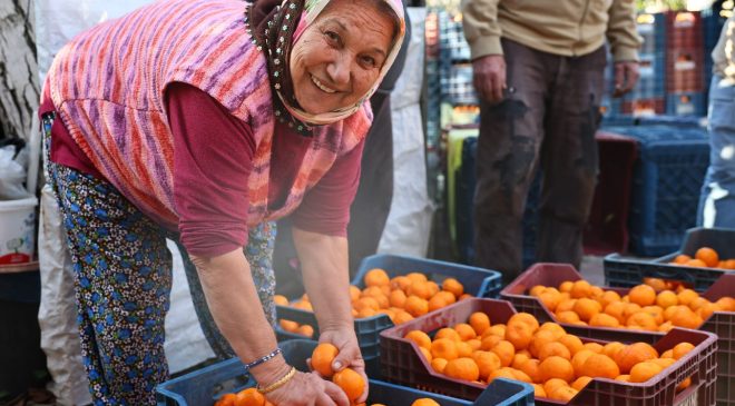 Bodrum Mandalini Türkiye’nin Dört 1 Yanına Ulaşıyor