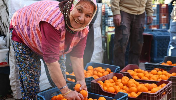 Bodrum Mandalini Türkiye’nin Dört 1 Yanına Ulaşıyor