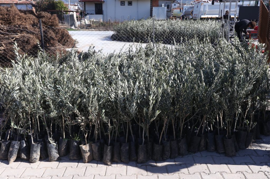 Baskan aras kirsalda uretim varsa kentte bereket vardir 3