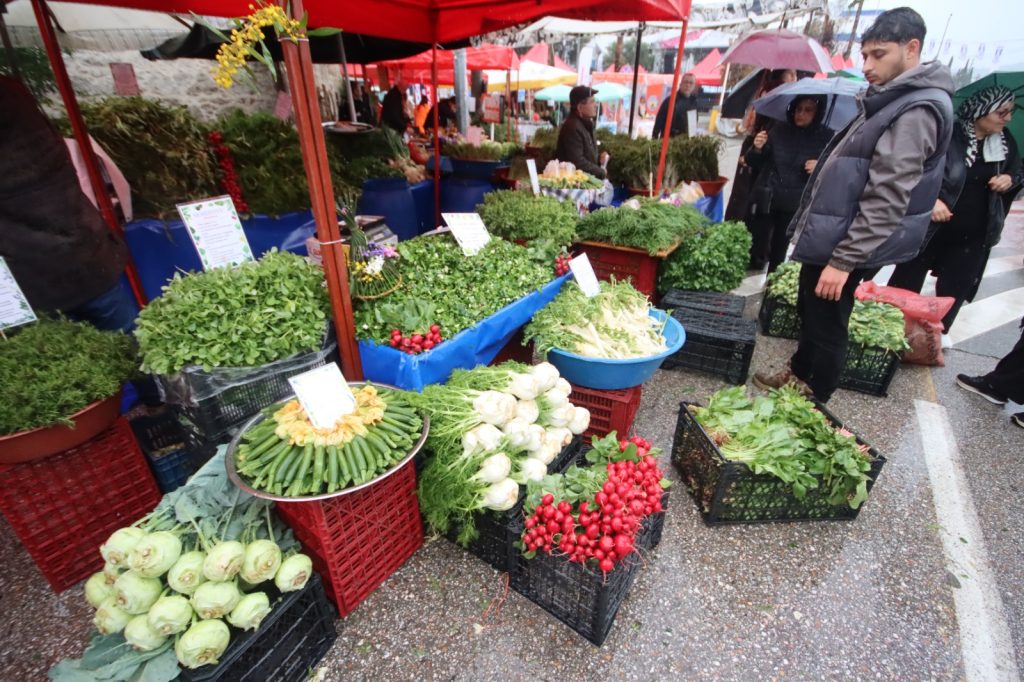 Bodrum aci ot festivali basladi yagmura ragmen yogun ilgi 9
