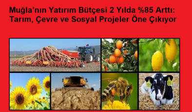 Muğla’nın yatırım bütçesi 2 yılda %85 arttı: tarım, çevre ve sosyal projeler öne çıkıyor