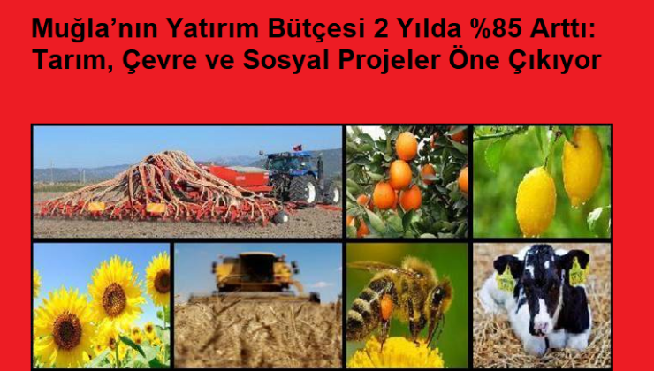 Muğla’nın yatırım bütçesi 2 yılda %85 arttı: tarım, çevre ve sosyal projeler öne çıkıyor