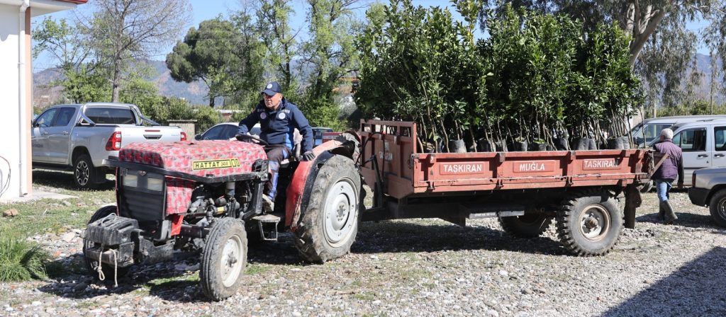 Fidan 1 e1773320447216