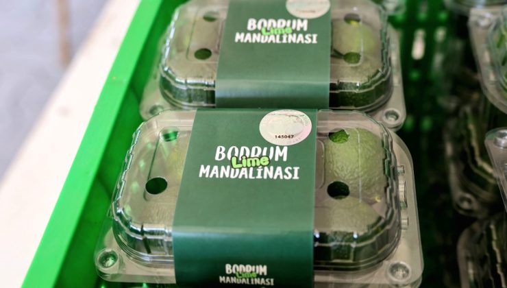 Bodrum’da Yerel Üreticiye 5 Milyon TL Destek