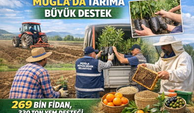 Muğla’da Tarıma Büyük Destek: 269 Bin Fidan, 330 Ton Yem