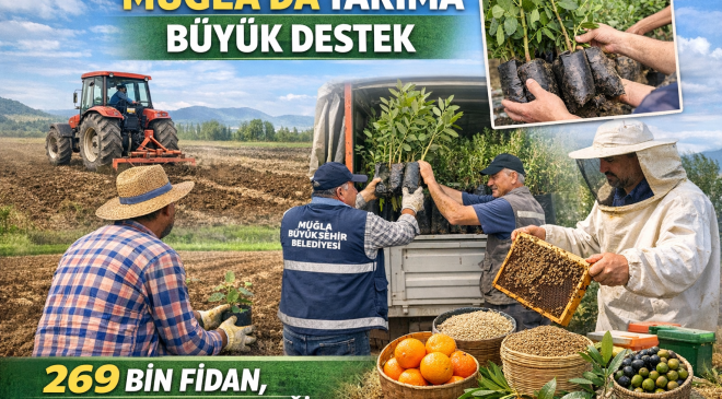 Muğla’da Tarıma Büyük Destek: 269 Bin Fidan, 330 Ton Yem