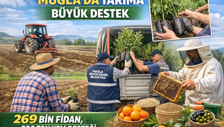 Muğla’da Tarıma Büyük Destek: 269 Bin Fidan, 330 Ton Yem