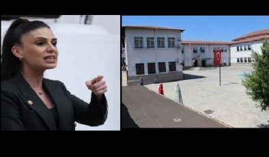 Özcan Marmaris’teki Kapalı Okulları Meclis Gündemine Taşıdı: