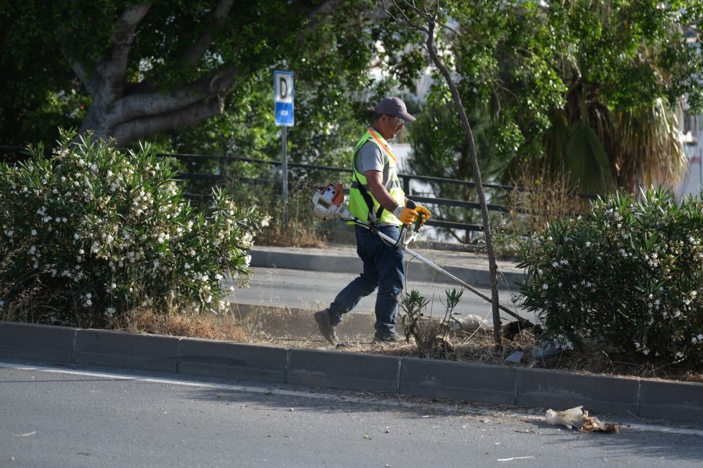 Bodrumda ot temizligi calismalari tum hiziyla devam ediyor 4
