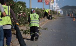 Bodrum’da ot temizliği çalışmaları hız kesmeden sürüyor: 104 bin metrekarelik alanda bakım tamamlandı
