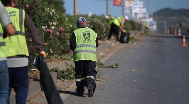 Bodrum’da Ot Temizliği Çalışmaları Hız Kesmeden Sürüyor: 104 Bin Metrekarelik Alanda Bakım Tamamlandı