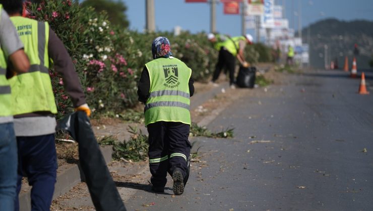 Bodrum’da Ot Temizliği Çalışmaları Hız Kesmeden Sürüyor: 104 Bin Metrekarelik Alanda Bakım Tamamlandı