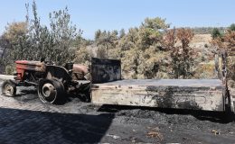 Yangında Hayvanlarını ve Tarlalarını Kaybeden Üreticilere Muğla Büyükşehir’den Destek