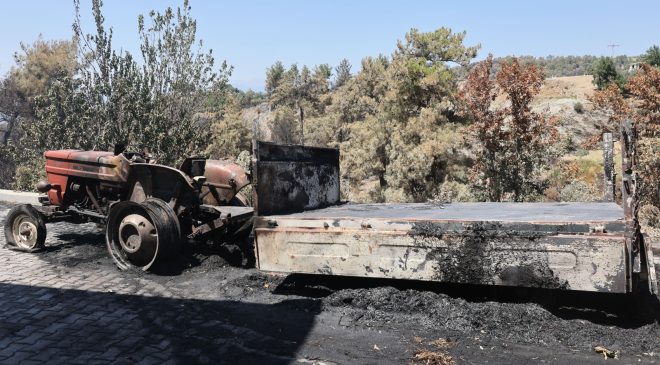 Yangında hayvanlarını ve tarlalarını kaybeden üreticilere muğla büyükşehir’den destek