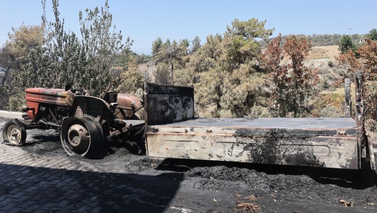 Yangında Hayvanlarını ve Tarlalarını Kaybeden Üreticilere Muğla Büyükşehir’den Destek