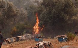 Seydikemer’de ve fethiye’de alevlere karşı ortak mücadele