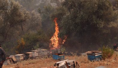 Seydikemer’de ve fethiye’de alevlere karşı ortak mücadele