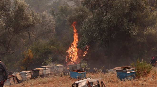 Seydikemer’de ve Fethiye’de Alevlere Karşı Ortak Mücadele