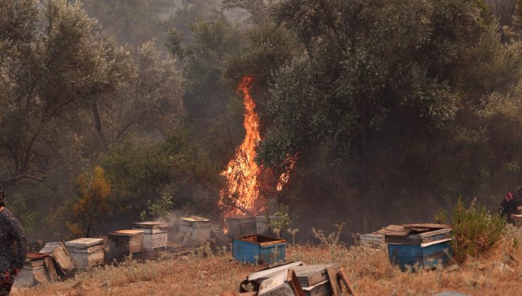 Seydikemer’de ve Fethiye’de Alevlere Karşı Ortak Mücadele